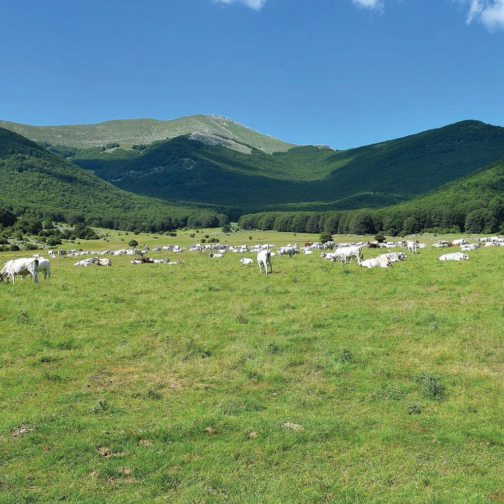 Prato di Campoli - Veroli